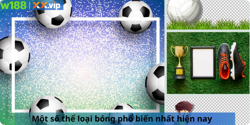 Một số thể loại bóng phổ biến nhất hiện nay