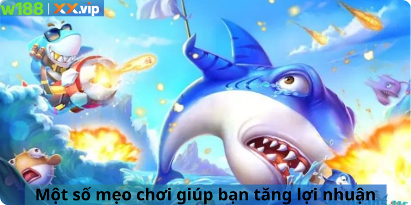 Một số mẹo chơi giúp bạn tăng lợi nhuận