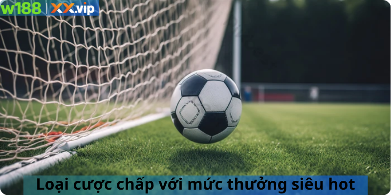 Loại cược chấp với mức thưởng siêu hot