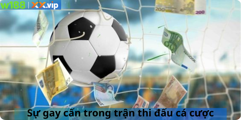 Sự gay cấn trong trận thi đấu cá cược