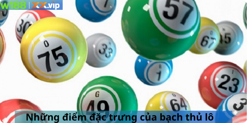 Những điểm đặc trưng của bạch thủ lô