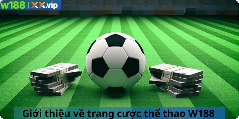 Giới thiệu về trang cược thể thao W188