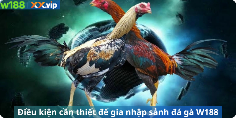 Điều kiện cần thiết để gia nhập sảnh đá gà W188
