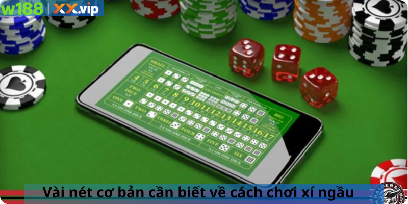 Vài nét cơ bản cần biết về cách chơi xí ngầu