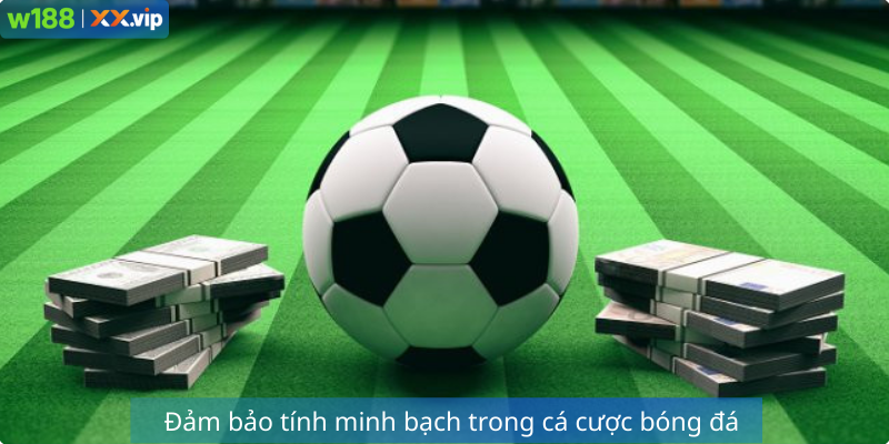 Đảm bảo tính minh bạch trong cá cược bóng đá